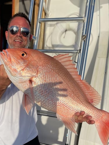 Night Fishing Adventure - 48’ Yacht Sport Fish In Tierra Verde