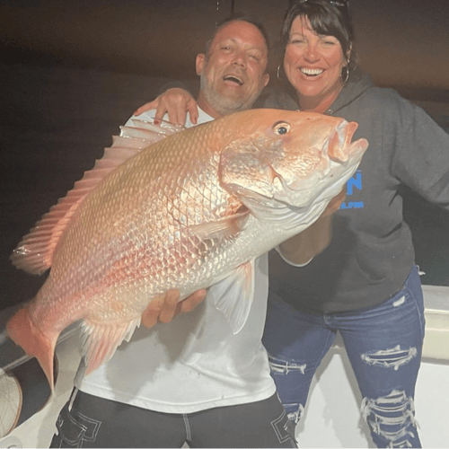 Night Fishing Adventure - 48’ Yacht Sport Fish In Tierra Verde