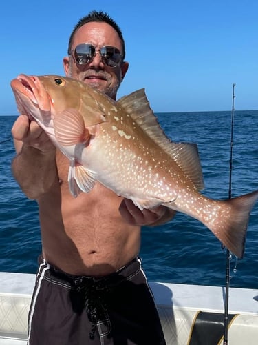 Night Fishing Adventure - 48’ Yacht In Tierra Verde