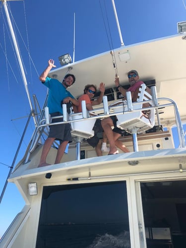 Shark Encounter - 48’ Yacht Sport Fish In Tierra Verde