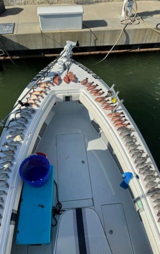 OVERNIGHT ADVENTURE - 48' Yacht Sport Fish In Tierra Verde