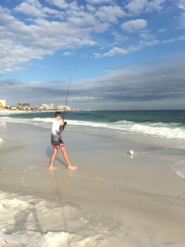 Destin Surf Fishing Trip In Destin