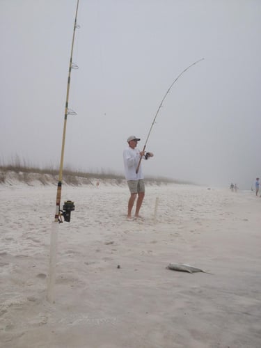 Destin Surf Fishing Trip In Destin