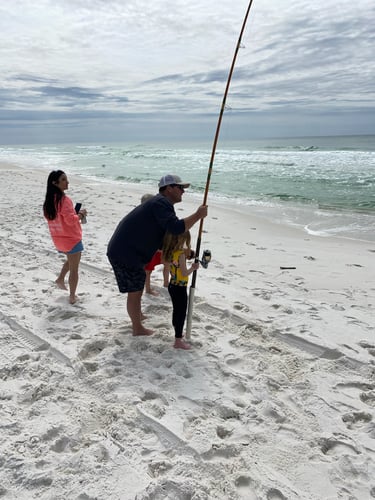 Destin Surf Fishing Trip In Destin