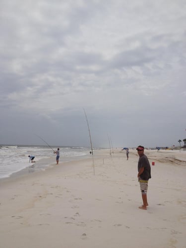 Destin Surf Fishing Trip In Destin