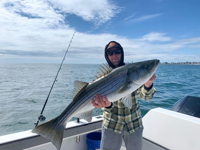 Plymouth Striped Bass Special In Plymouth