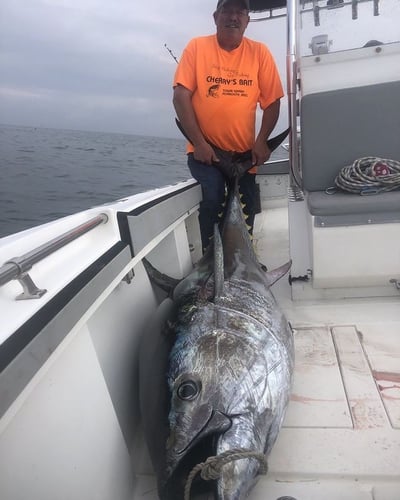 Plymouth Big Tuna Chase