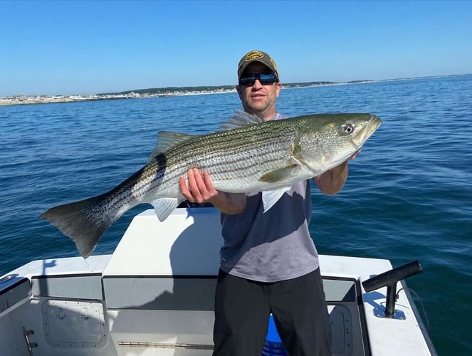 Plymouth Striped Bass Special In Plymouth