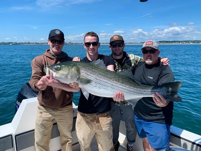 Plymouth Striped Bass Special In Plymouth