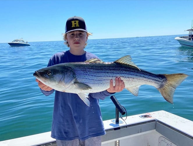 Plymouth Striped Bass Special in Plymouth