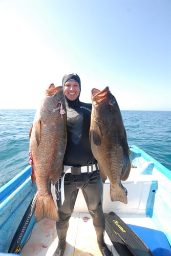 Spearfishing Cabo In Cabo San Lucas