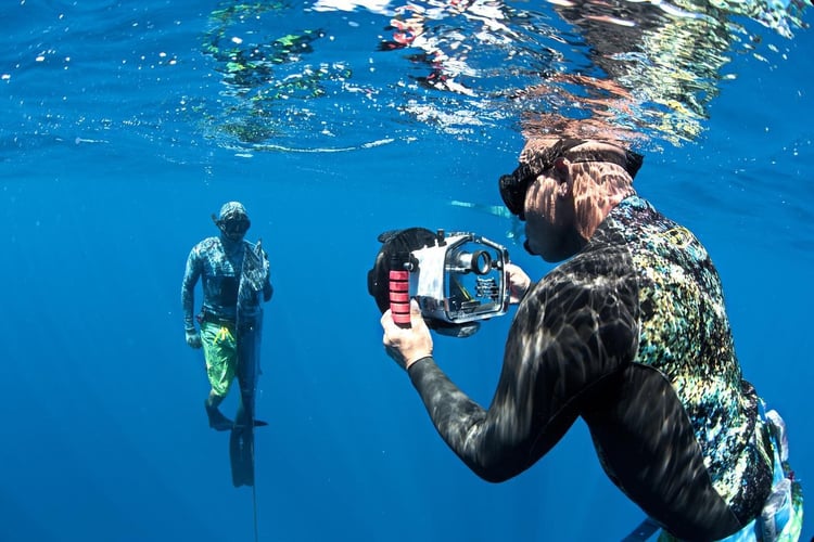 Blue Water Spearfishing Trip in Cabo San Lucas