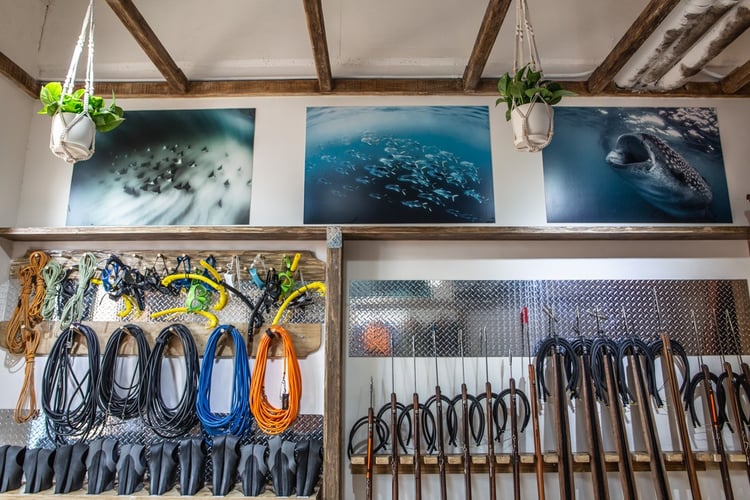 Blue Water Spearfishing Trip in Cabo San Lucas