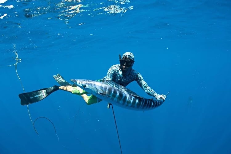 Blue Water Spearfishing Trip in Cabo San Lucas