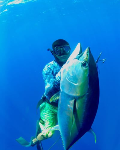 Blue Water Spearfishing Trip in Cabo San Lucas
