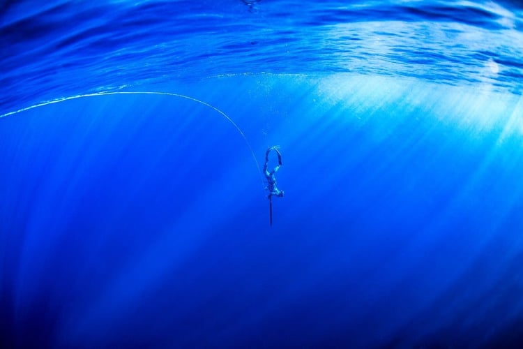 Blue Water Spearfishing Trip in Cabo San Lucas