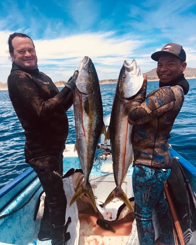 Blue Water Spearfishing Trip in Cabo San Lucas