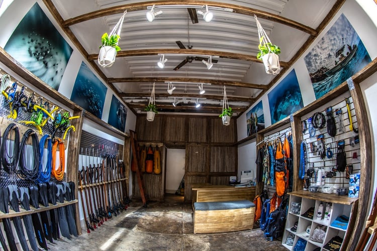 Blue Water Spearfishing Trip in Cabo San Lucas