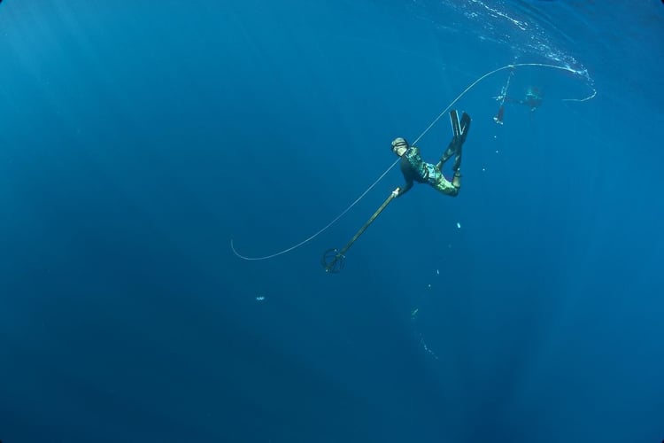 Blue Water Spearfishing Trip in Cabo San Lucas