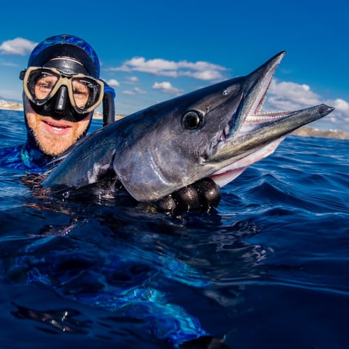 Blue Water Spearfishing Trip in Cabo San Lucas