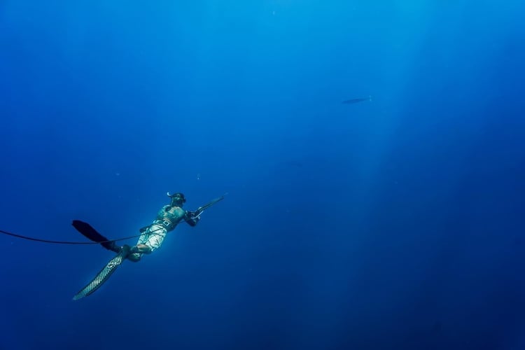 Blue Water Spearfishing Trip In Cabo San Lucas