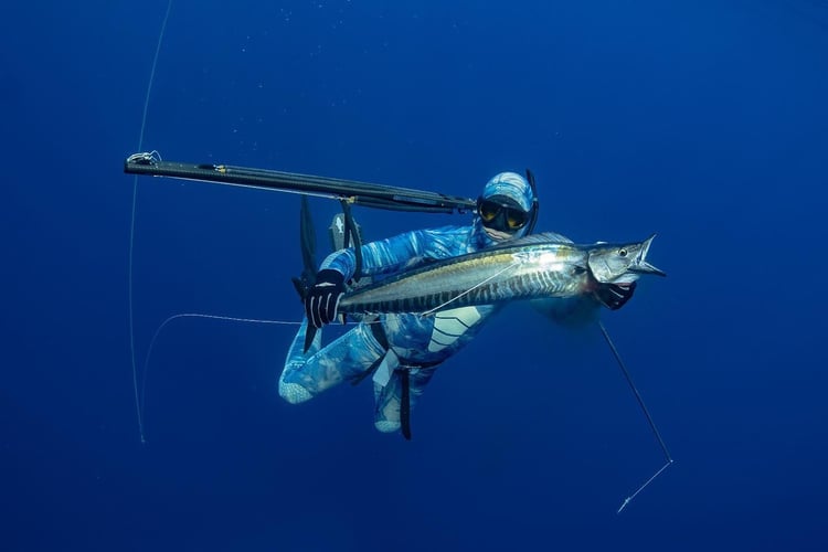 Blue Water Spearfishing Trip in Cabo San Lucas