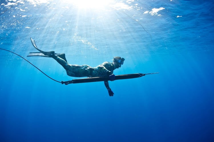 Blue Water Spearfishing Trip in Cabo San Lucas