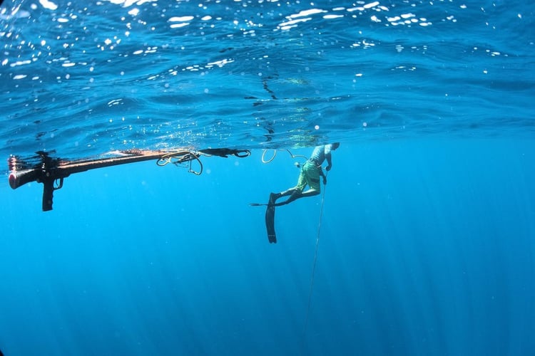 Blue Water Spearfishing Trip in Cabo San Lucas