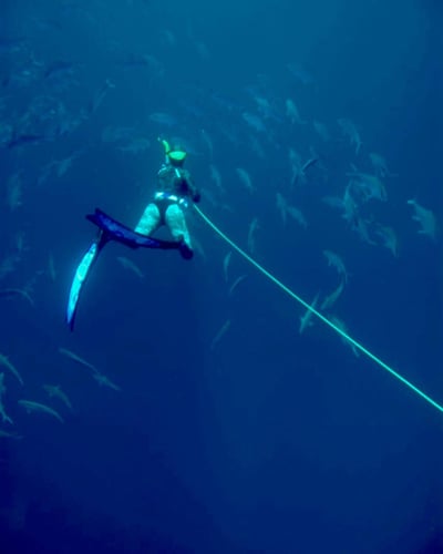 Blue Water Spearfishing Trip in Cabo San Lucas