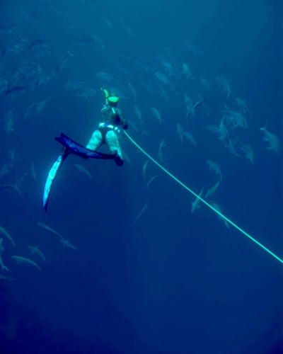 Blue Water Spearfishing Trip In Cabo San Lucas