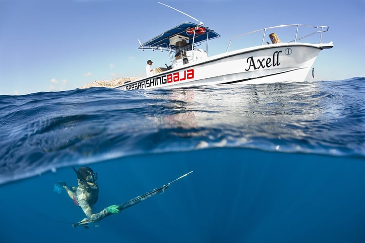 Spearfishing Baja California (pick up included)