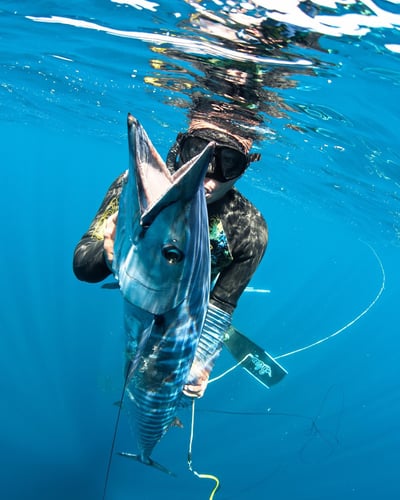 Blue Water Spearfishing Trip in Cabo San Lucas