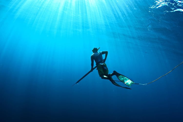 Blue Water Spearfishing Trip in Cabo San Lucas