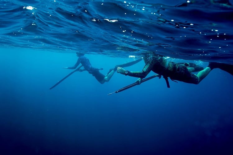Blue Water Spearfishing Trip in Cabo San Lucas