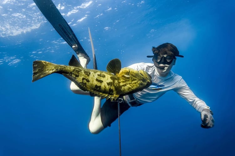 Blue Water Spearfishing Trip in Cabo San Lucas