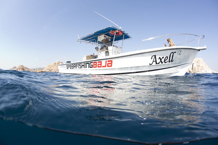 Spearfishing Baja California (pick up included)