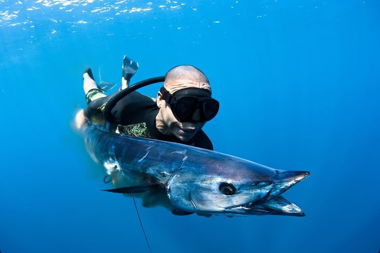 Blue Water Spearfishing Trip in Cabo San Lucas