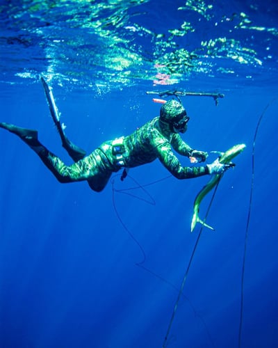 Blue Water Spearfishing Trip in Cabo San Lucas