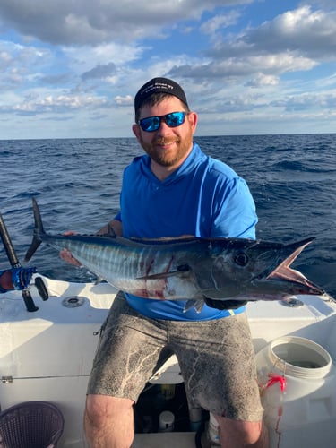 25' Panga - Nearshore Or Offshore In Cancún