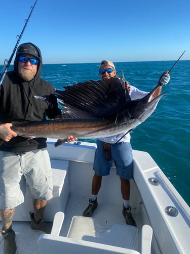 Exciting Sportfishing - 45’ Hatteras In Pompano Beach