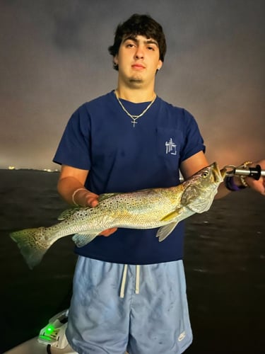 Galveston Bay Night Fishing In Galveston