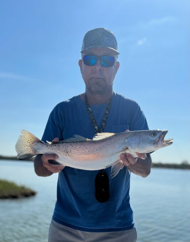 Galveston Bay Fishing In Hitchcock