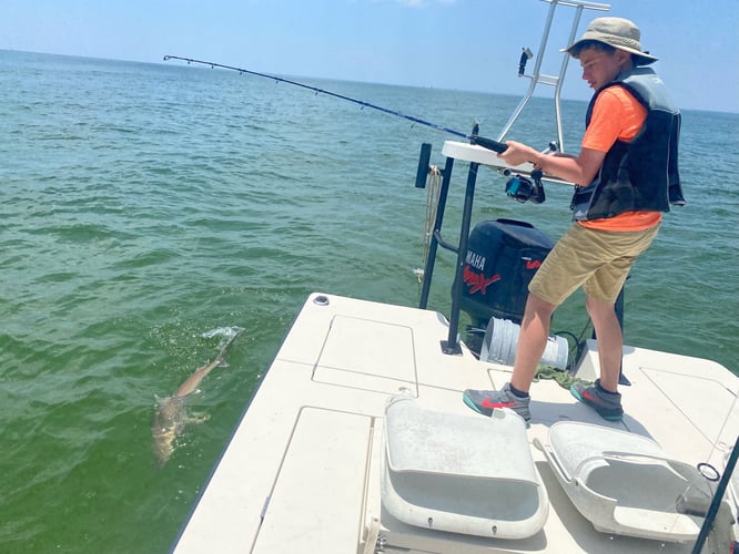 Pensacola Bay Fly Fishing In Gulf Breeze