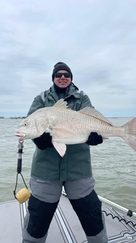 Laguna Madre Bay Trip in Corpus Christi