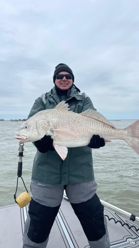 Laguna Madre Bay Trip In Corpus Christi