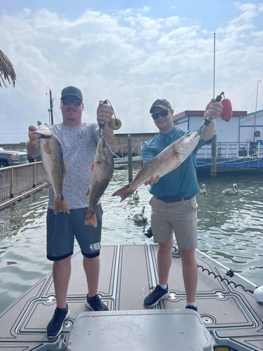 Laguna Madre Bay Trip In Corpus Christi