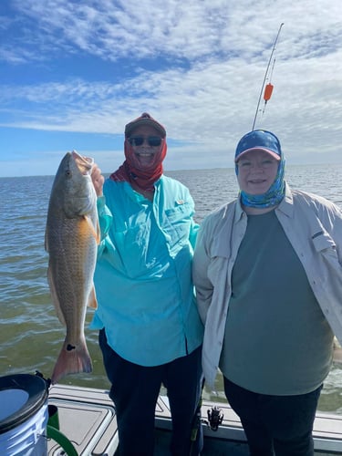 Laguna Madre Bay Trip In Corpus Christi