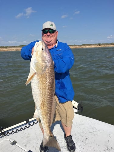 Laguna Madre Bay Trip In Corpus Christi