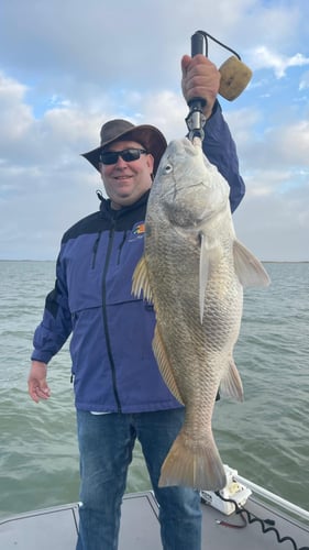 Laguna Madre Bay Trip In Corpus Christi