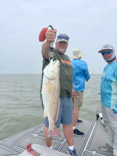 Laguna Madre Bay Trip In Corpus Christi